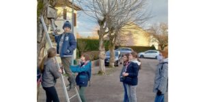 Des nichoirs pour les petits oiseaux